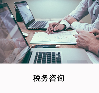 稅務(wù)咨詢
