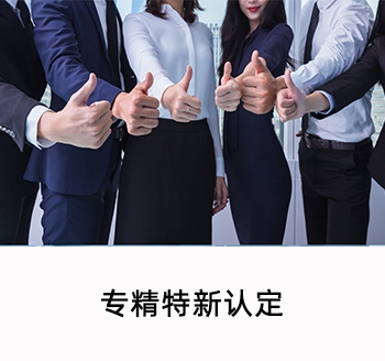專精特新認(rèn)定
