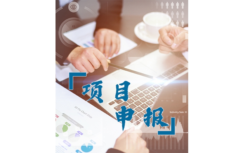 稅務(wù)咨詢