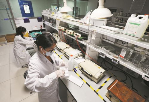 以嶺藥業 科技賦能，引領中藥現代化新篇章